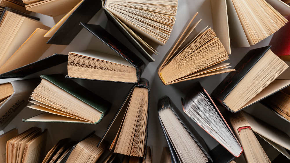 Книжный август: где Владивосток встречает новые идеи